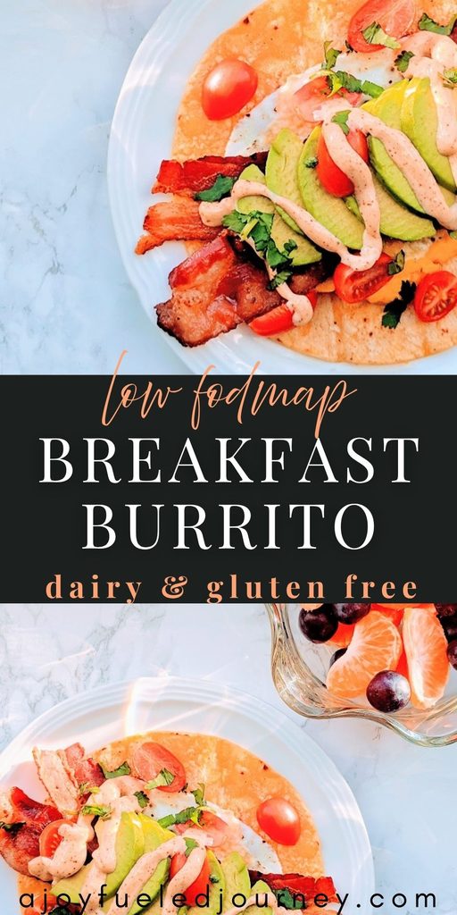 Low Fodmap Breakfast Burrito