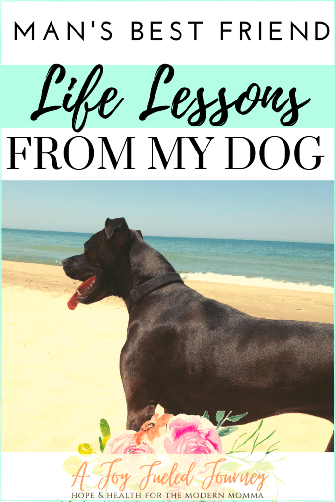 Man's Best Friend: Life Lessons From My Dog: A Joy Fueled Journey- There's a reason they say a dog is a man's best friend. Who else can give you unconditional love, companionship, and immediate forgiveness when you’re the one clearly in the wrong? 