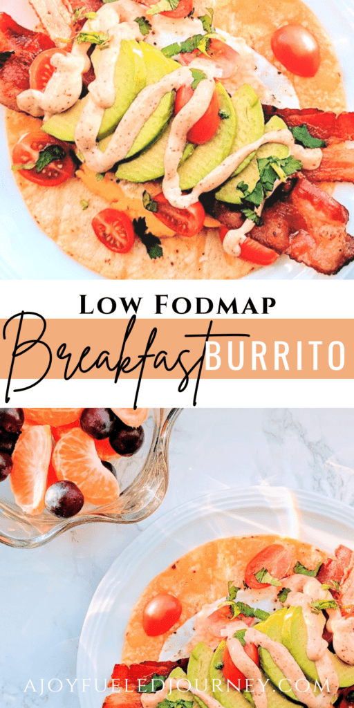 Low Fodmap Breakfast Burrito