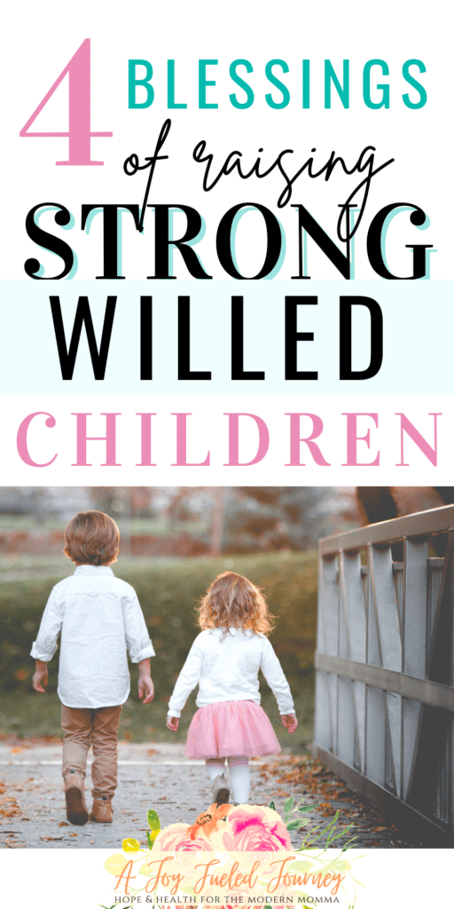 Raising Strong Willed Children