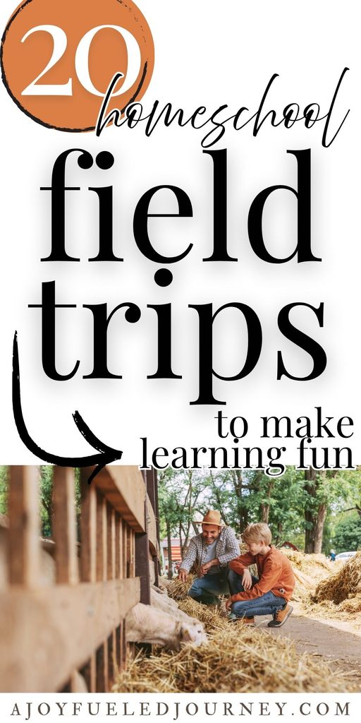 20 Homeschool Field Trips that Make Learning Fun