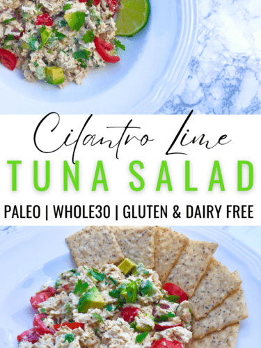 Cilantro Lime Tuna Salad