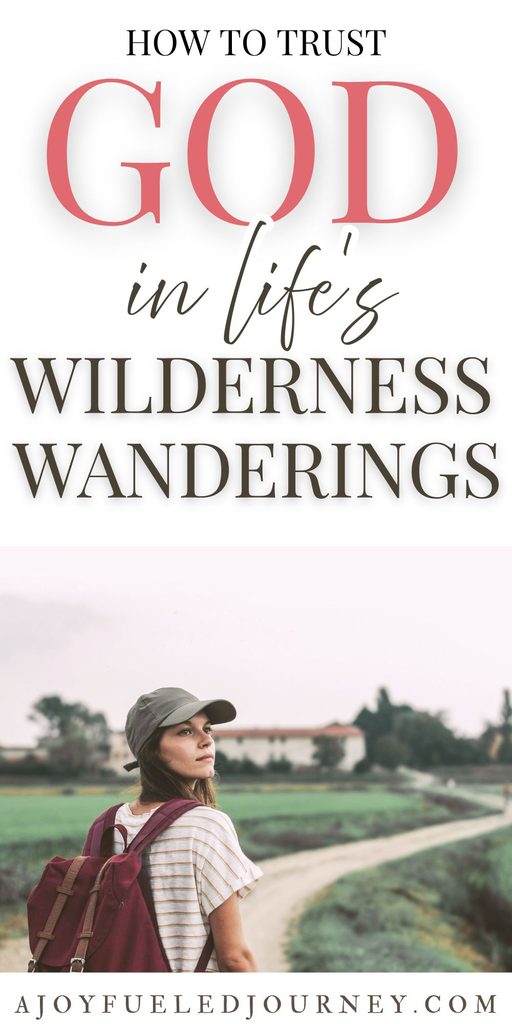 Trusting God in Life's Wilderness Wanderings